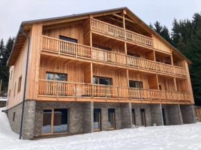 Apartmán Mariánská Hora Albrechtice U Českého Těšína